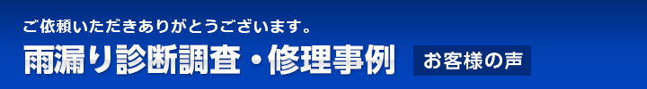 雨漏り診断調査・修理事例