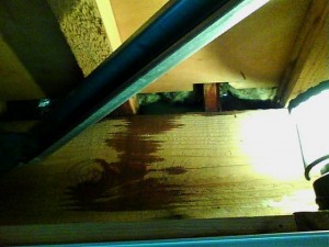 外壁塗装立川市雨漏り診断⑥